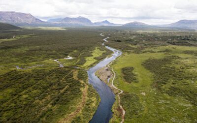 Gruppo Alveo acquisisce IT Strategy